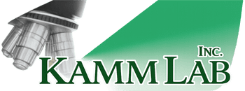 Kamm lab logo